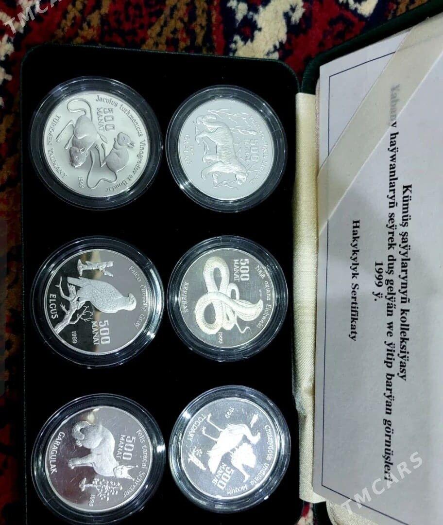 kumus maneta - Ашхабад - img 4