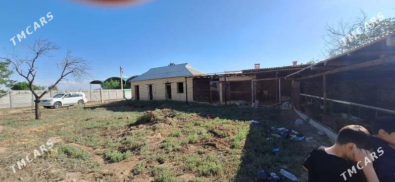 Budyonyda 6 sotok yer - Mary - img 4