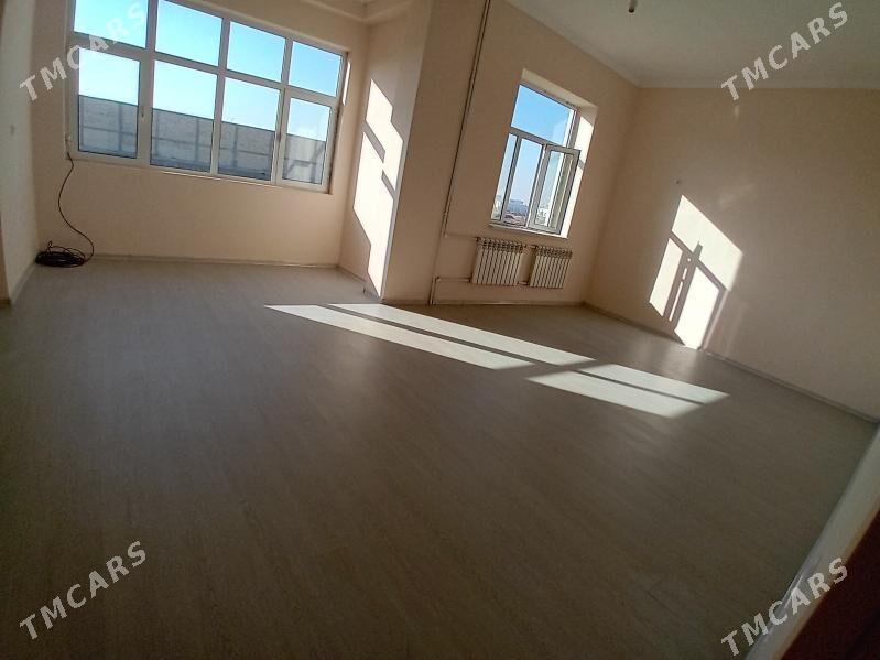   Arenda Elitga jay - Mary - img 2