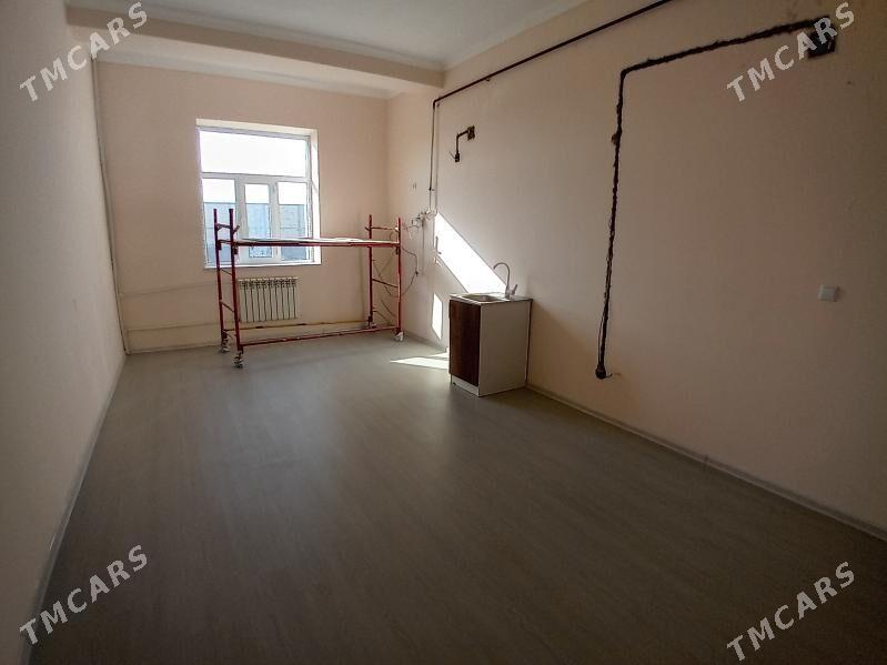   Arenda Elitga jay - Mary - img 3