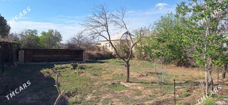 Budyonyda 6 sotok yer - Mary - img 5