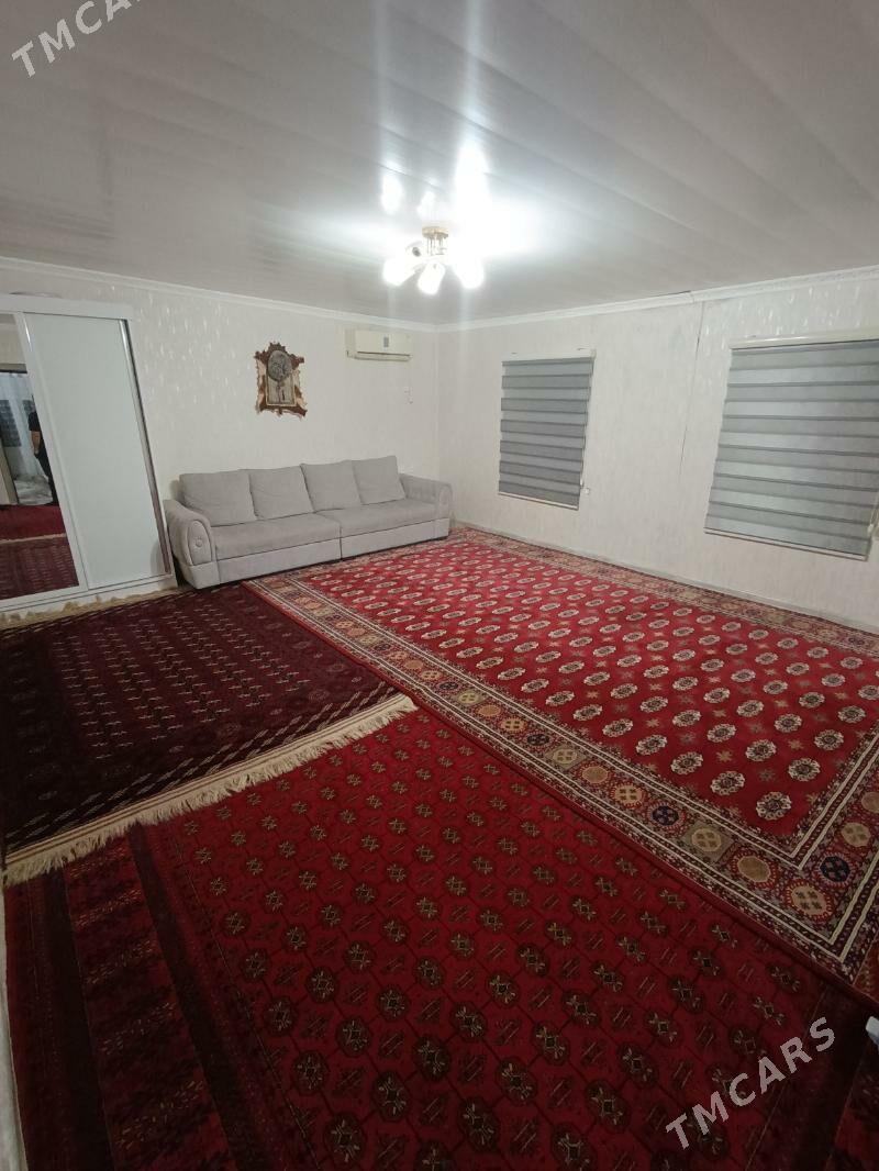 Satlyk jay - Mary - img 7