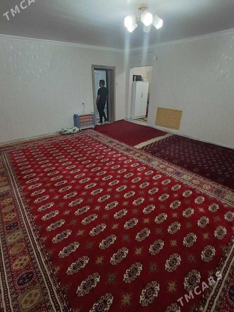 Satlyk jay - Mary - img 6