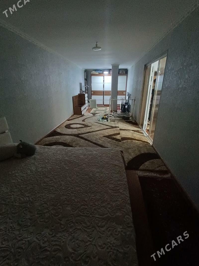 Satlyk jay - Mary - img 3