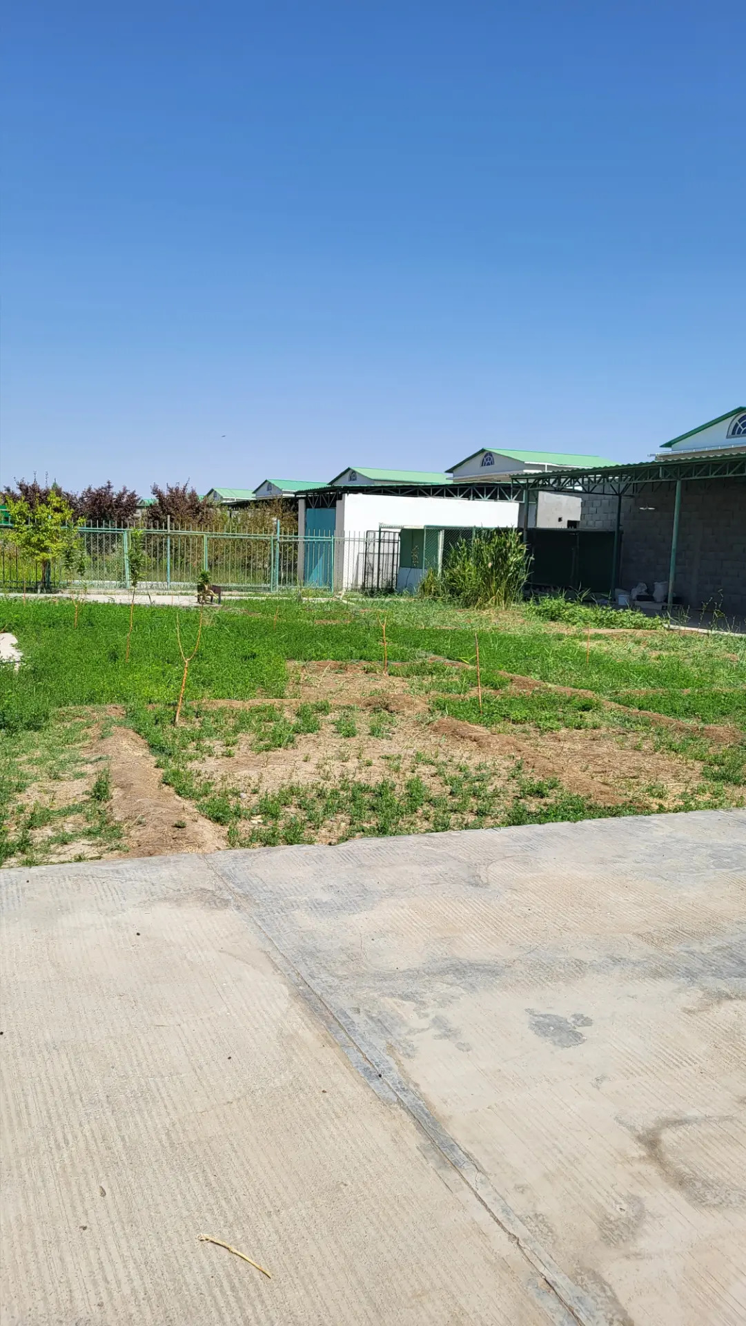 SATLYK KOTEDJ  TÄZE ZAMAN - Aşgabat - img 4