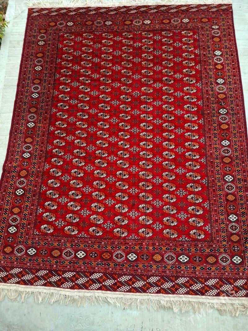 el haly - Mary - img 2