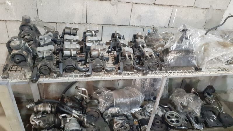 paduska 1 000 TMT - Багир - img 8