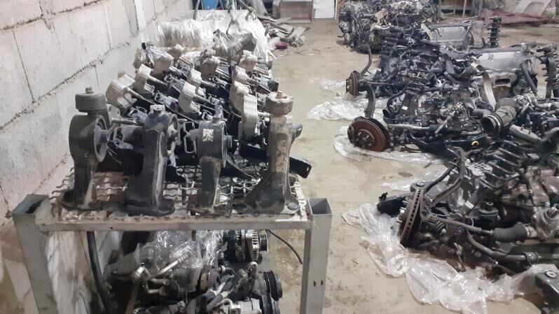 paduska 1 000 TMT - Багир - img 3