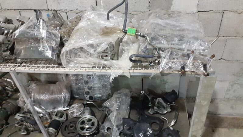 paduska 1 000 TMT - Багир - img 2