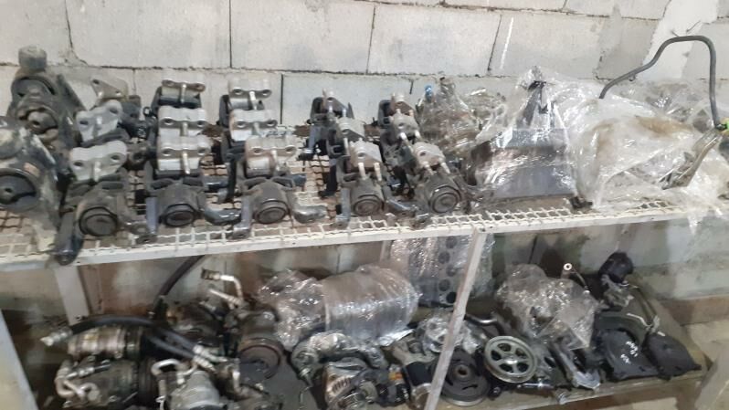 paduska 1 000 TMT - Багир - img 7