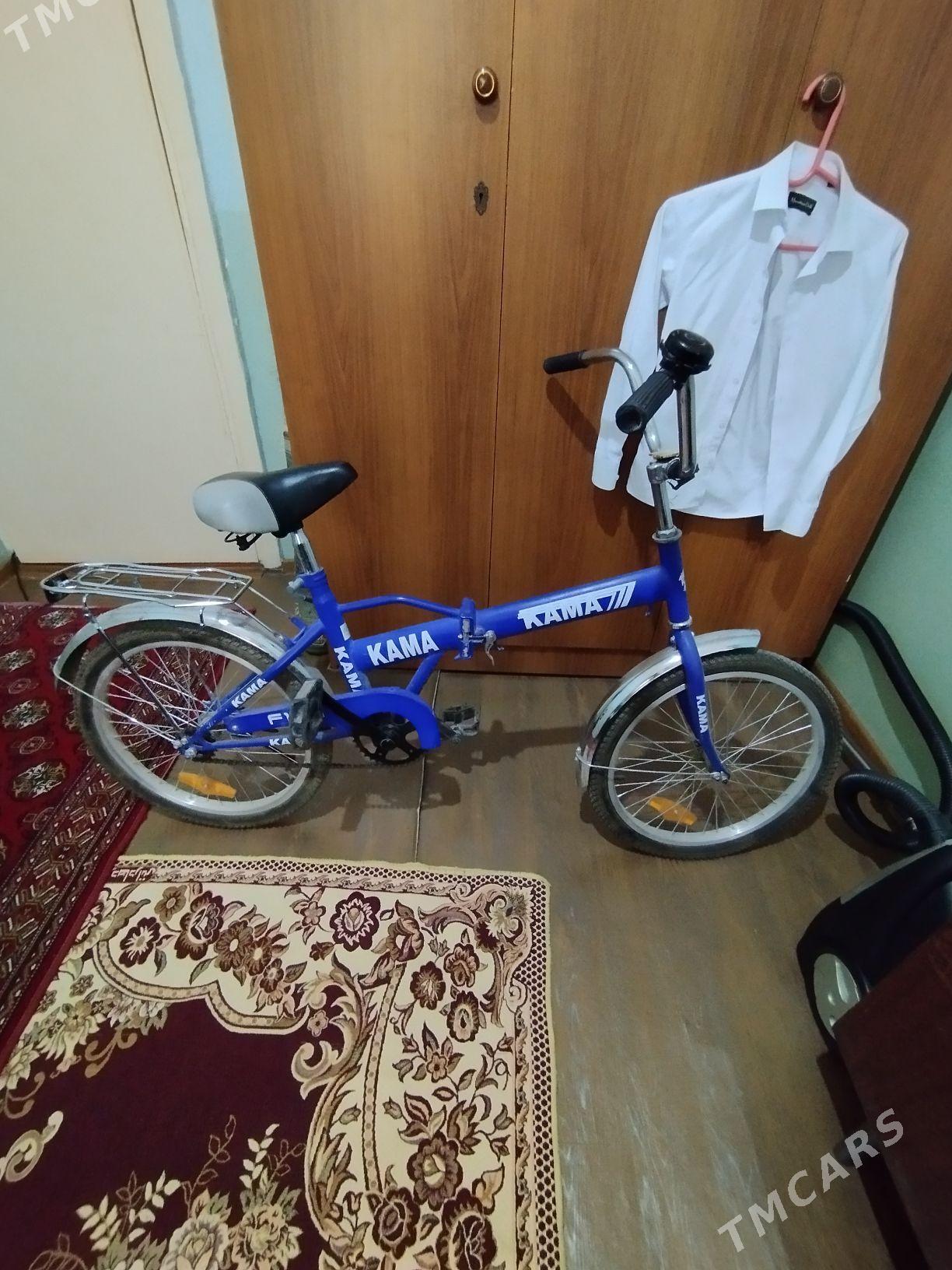 Tigir - 30 mkr - img 3