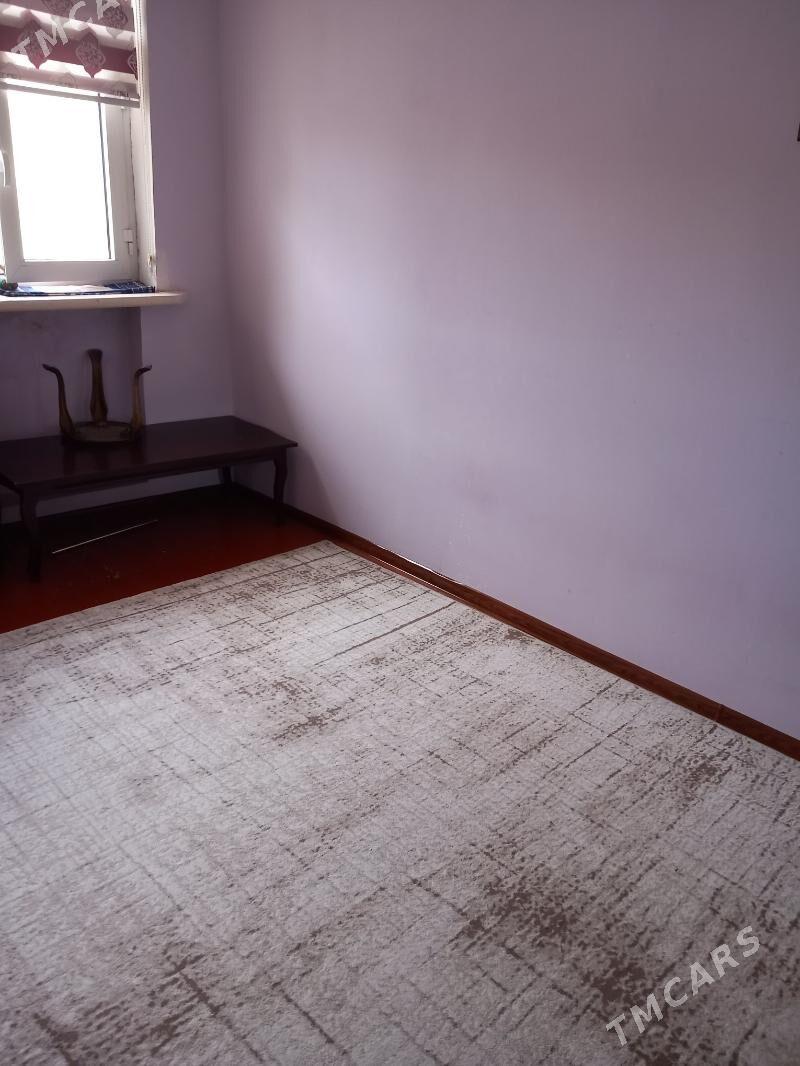 Безмеин/томатный - Büzmeýin - img 4