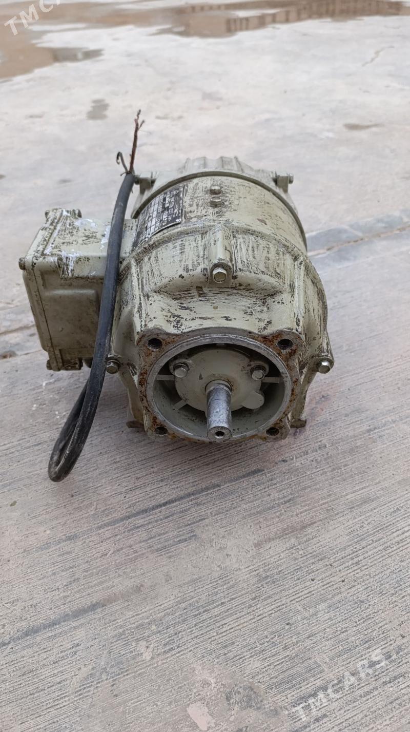 mator dwijok - Чоганлы - img 2