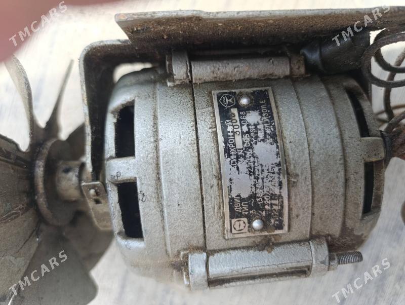 mator dwijok - Чоганлы - img 6