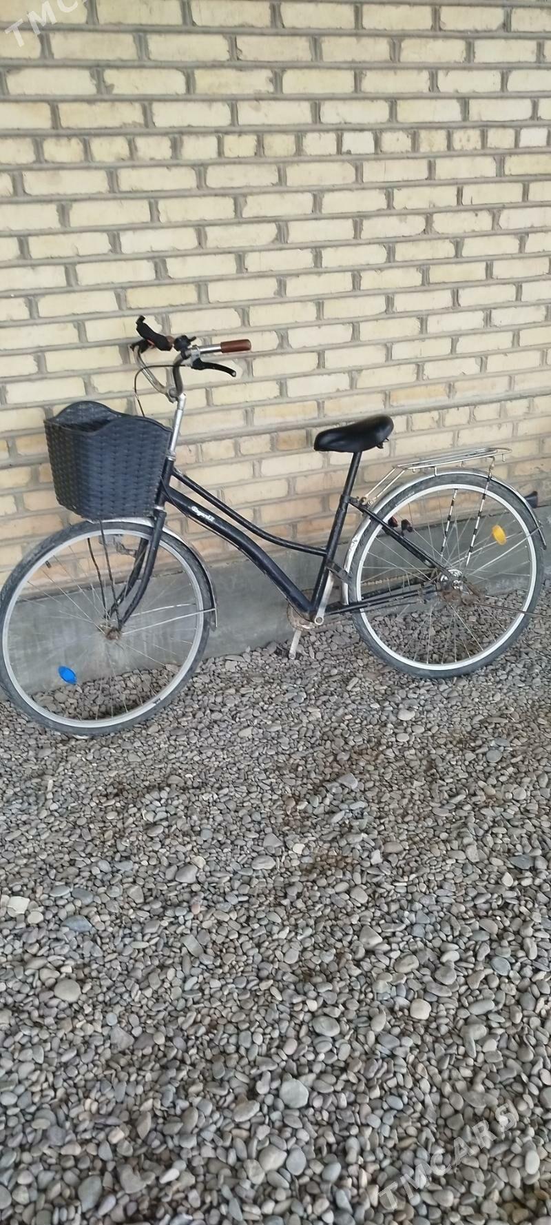 welsepet 26 - Сакарчага - img 2