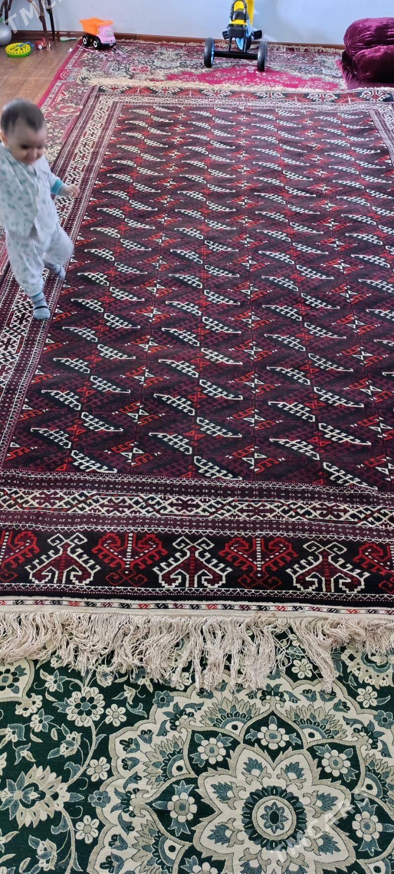 Gara haly - Гумдаг - img 3