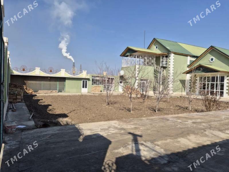 Satlyk howly - Туркменабат - img 3