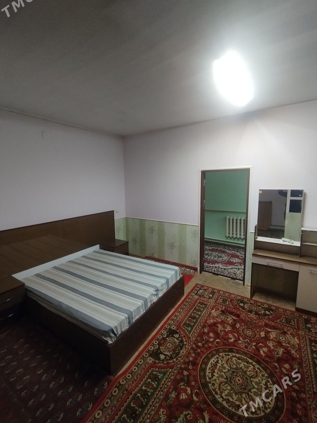 Kreyine Jay - Daşoguz - img 4