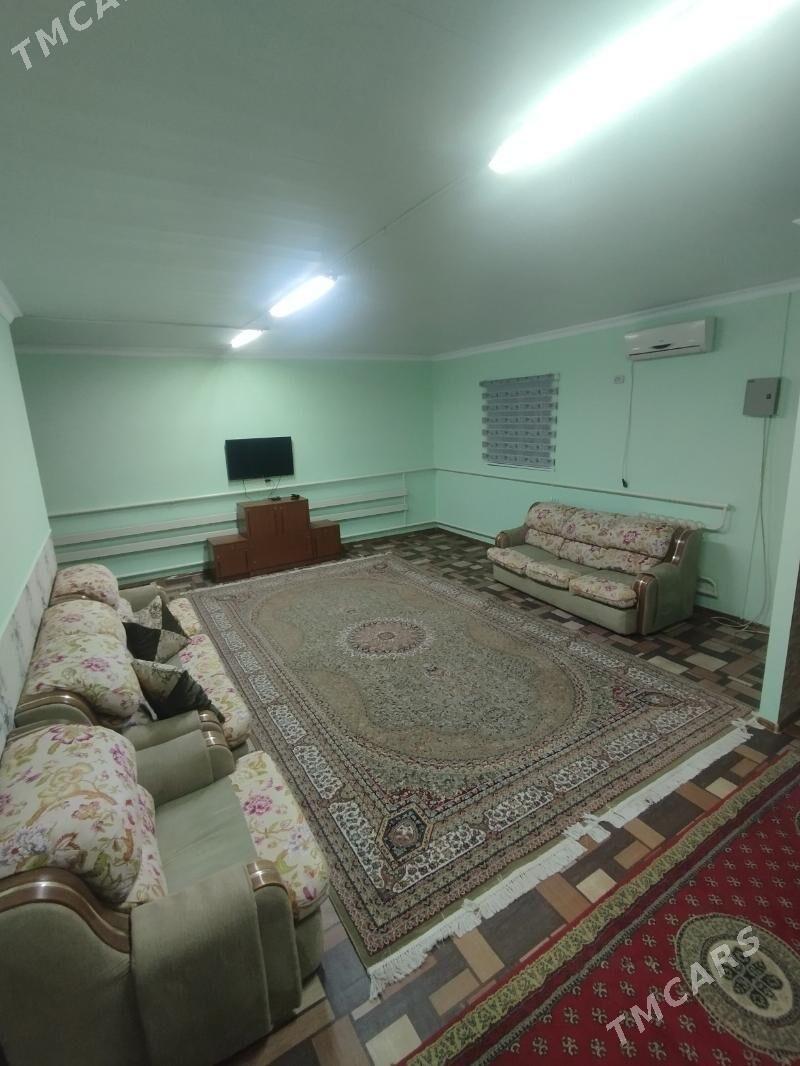 Kreyine Jay - Daşoguz - img 2