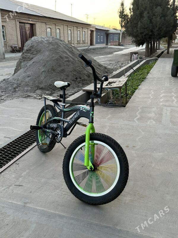 Tigir - Dänew - img 2