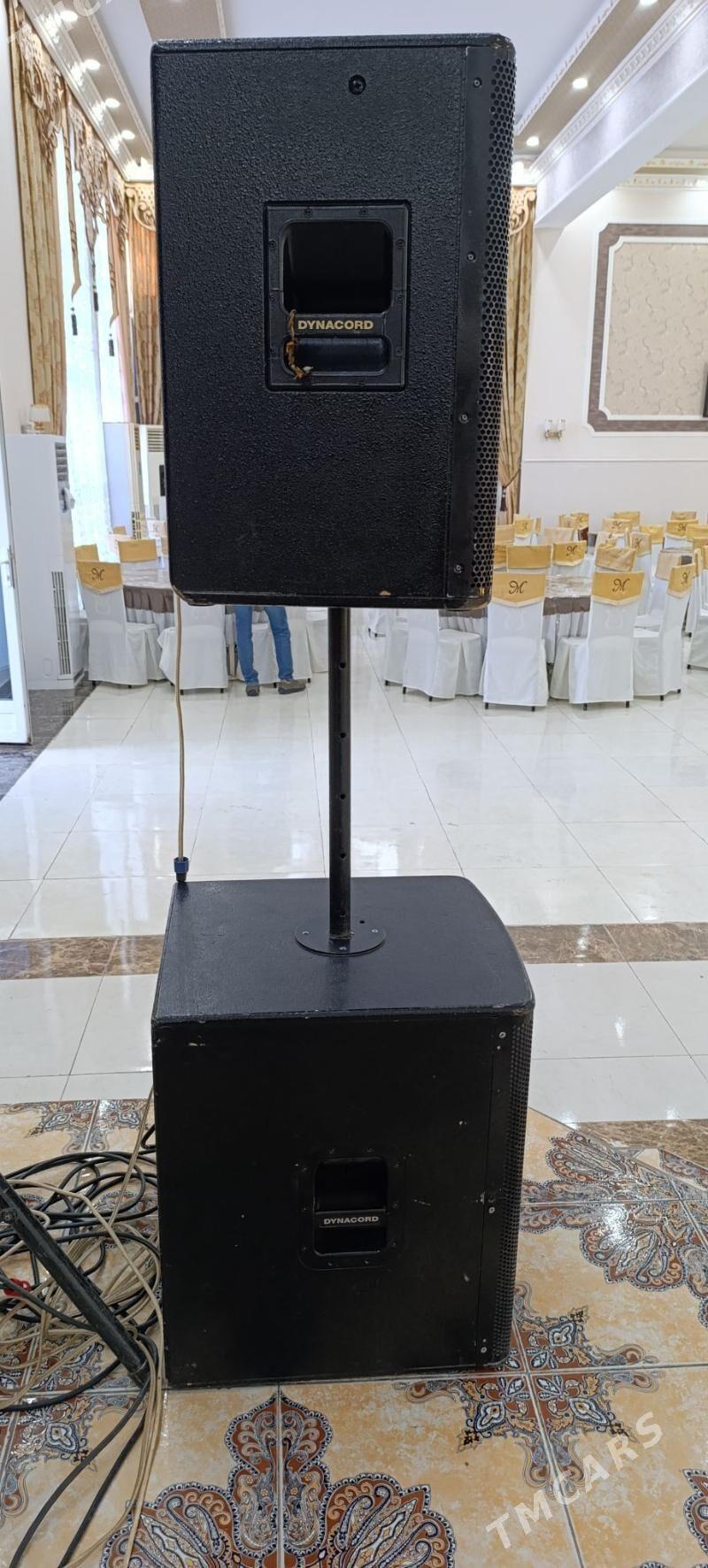 TOY APARAT.DYNACORT ARGINAL - Baýramaly - img 2