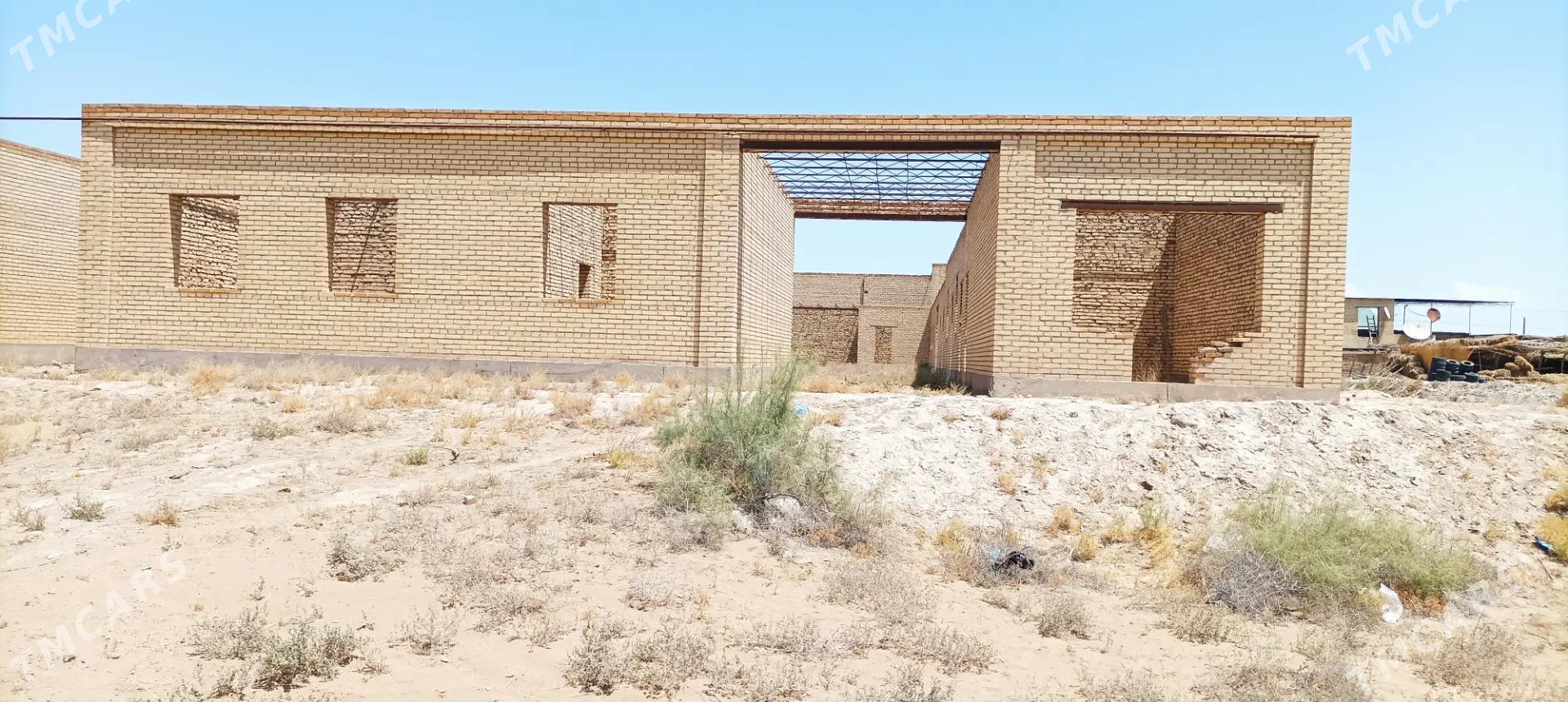 satlyk jay - Saýat - img 3