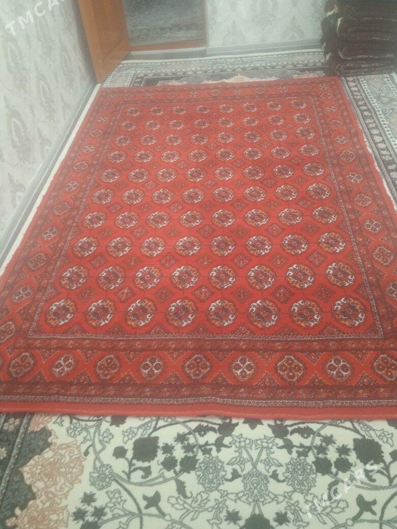 haly - Дашогуз - img 2