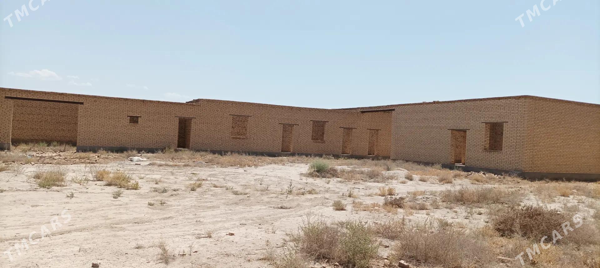 satlyk jay - Saýat - img 4