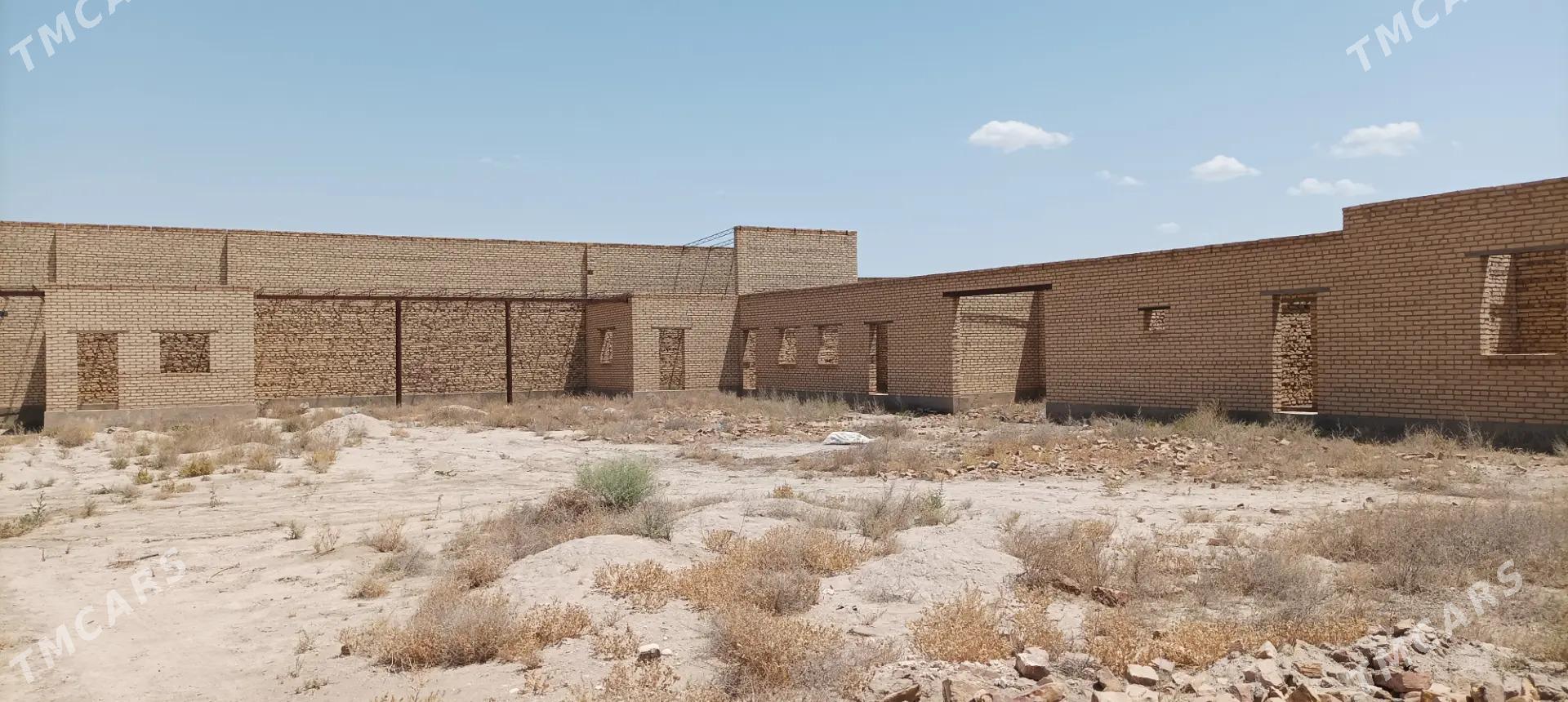 satlyk jay - Saýat - img 2