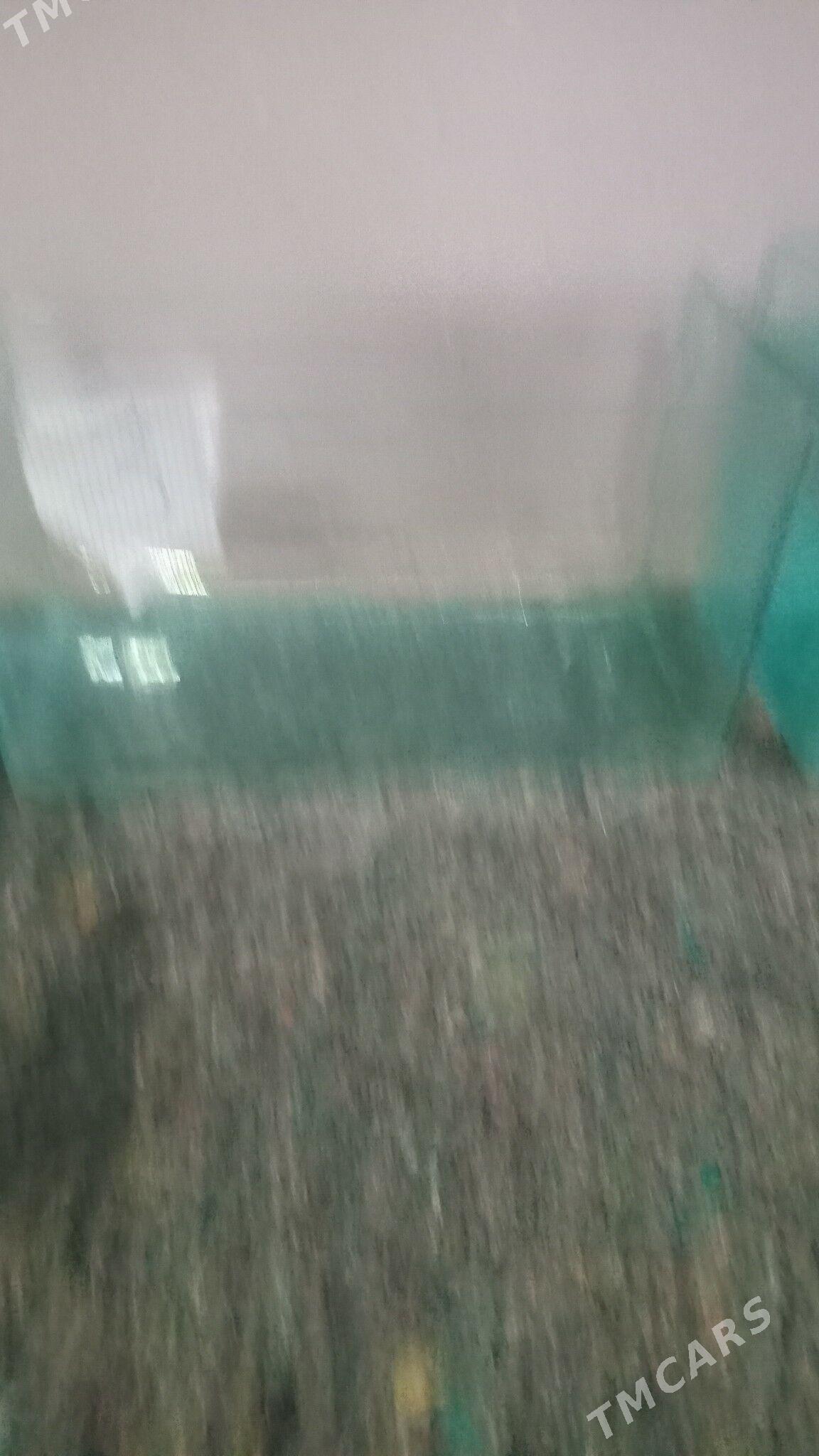 АКВАРИУМ - Дашогуз - img 5