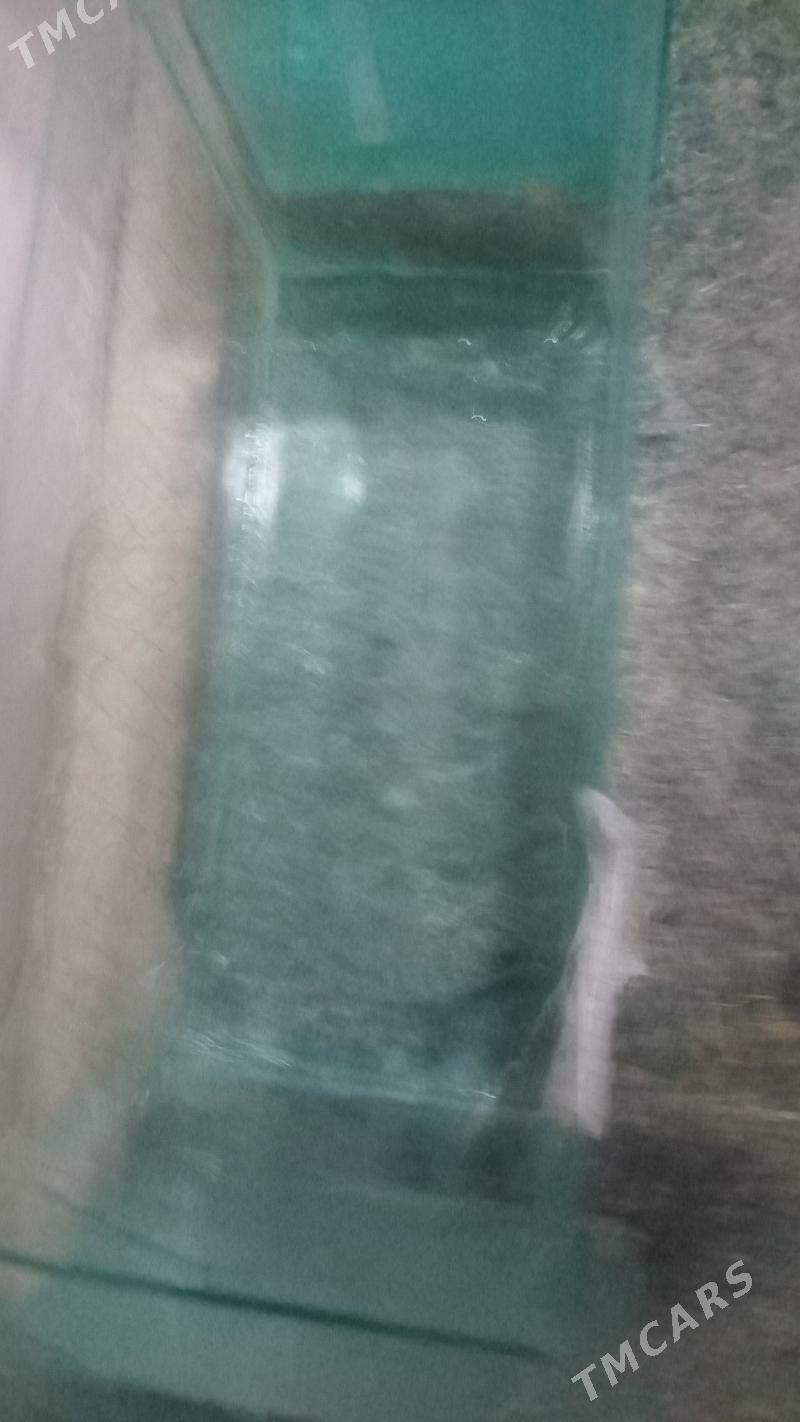 АКВАРИУМ - Дашогуз - img 6