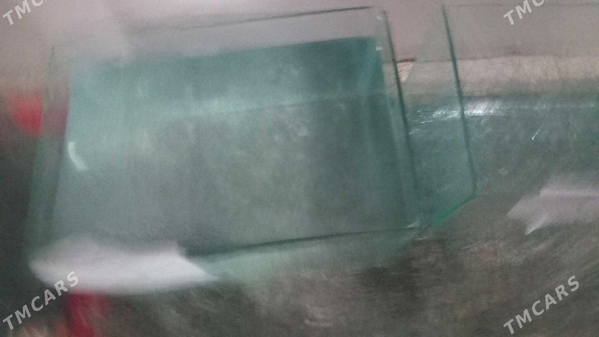 АКВАРИУМ - Дашогуз - img 4