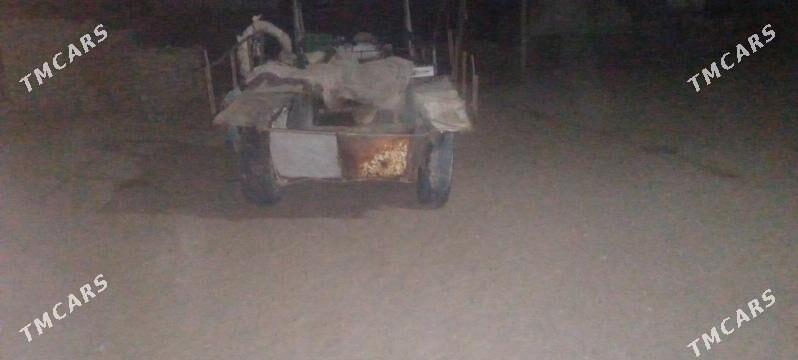 erkek eşek - Mary - img 2