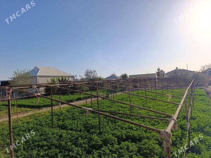 Parnik , Teplissa - Murgap - img 2