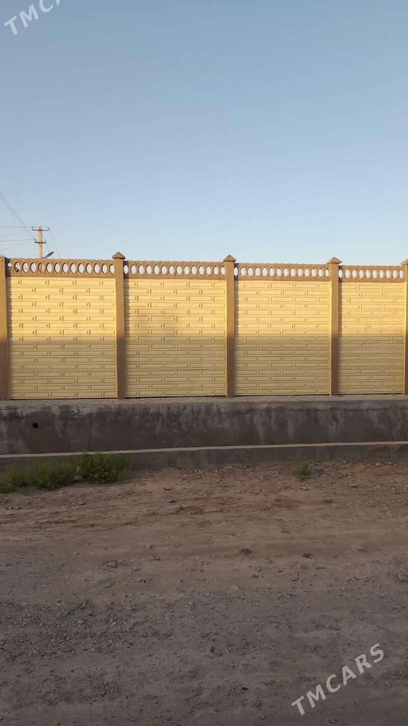 beton zabor - Mary - img 2