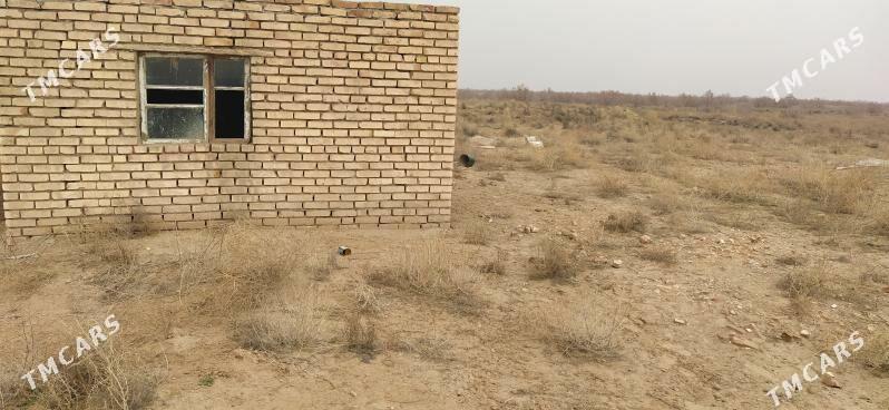 Melek yer - Mary - img 2