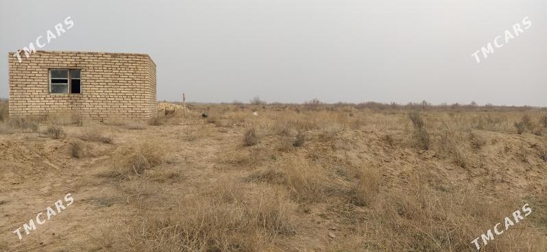 Melek yer - Mary - img 3