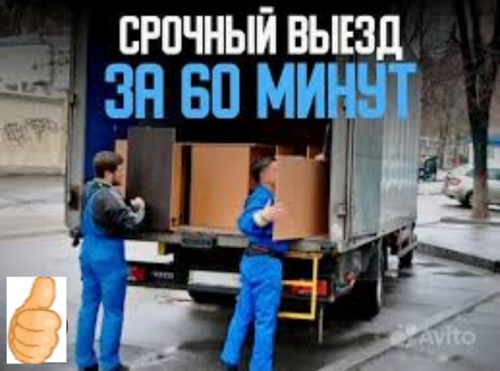 Gazel we oglanlar.Газель и гру - Гаудан "В" - img 2