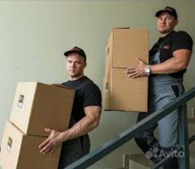 Gazel we oglanlar.Газель и гру - Гаудан "В" - img 3