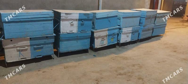 Ary yesik - Babadaýhan - img 1