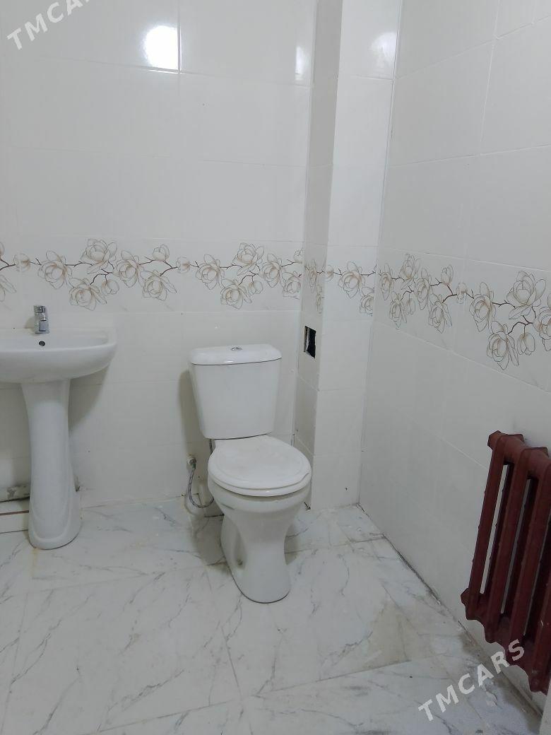 Ayraport yoldaky taze jaylar - Daşoguz - img 3