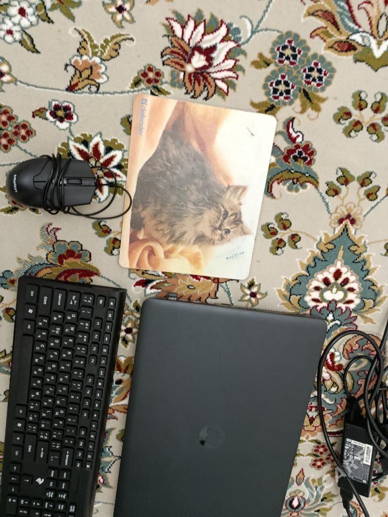 Notebook Laptop hp noutbook - Чоганлы - img 5