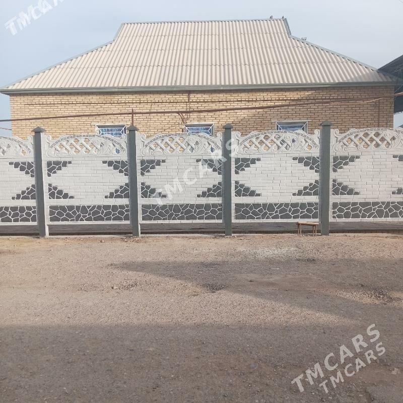 beton zabor - Mary - img 2