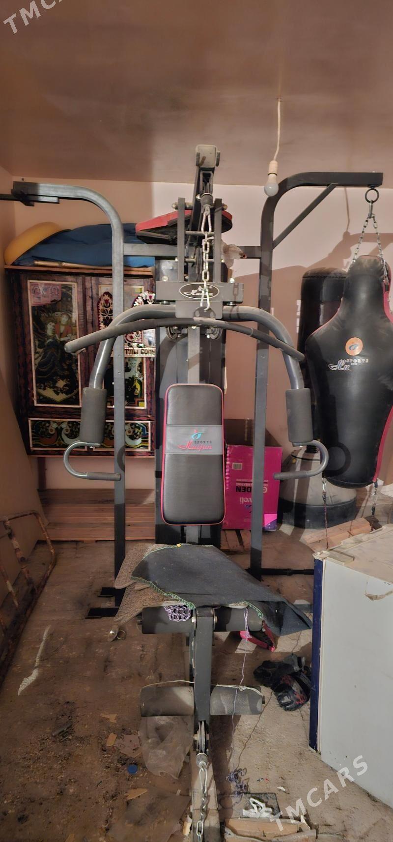 Trinažor - Mary - img 1