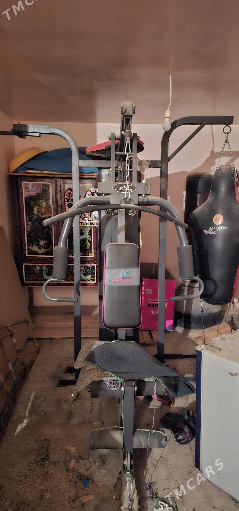 Trinažor - Mary - img 2