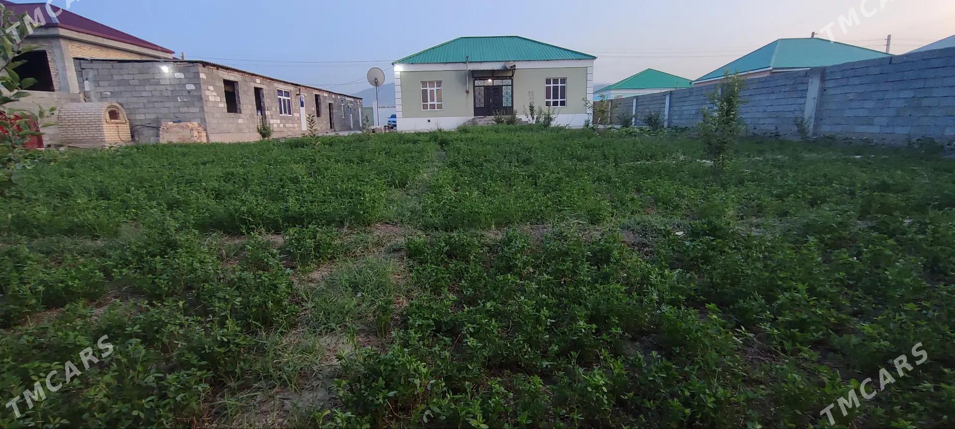 Gokdepe Sorgala jay - Gökdepe - img 4