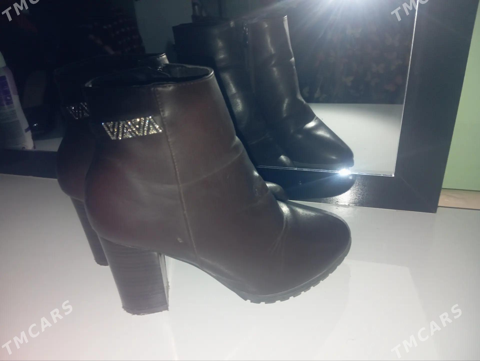 adik taze - Daşoguz - img 1