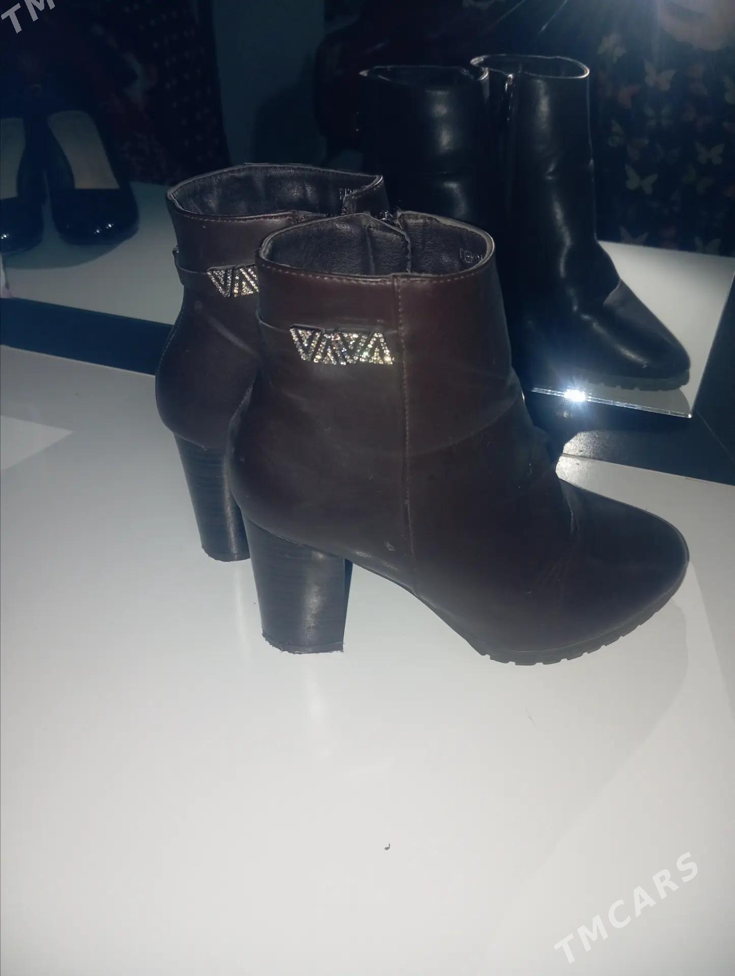 adik taze - Daşoguz - img 2