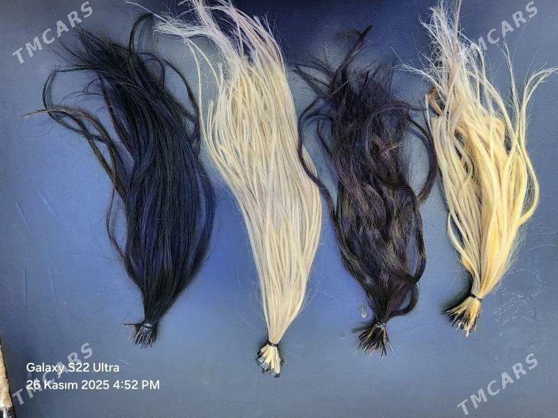 saclar - Мир 2 - img 1