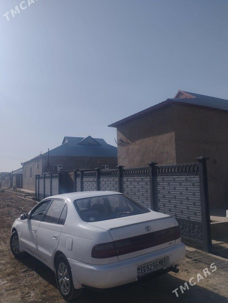 beton zaborlar (hayat) - Байрамали - img 6